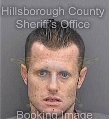 Hammond Nicholas - Hillsborough County, FL 