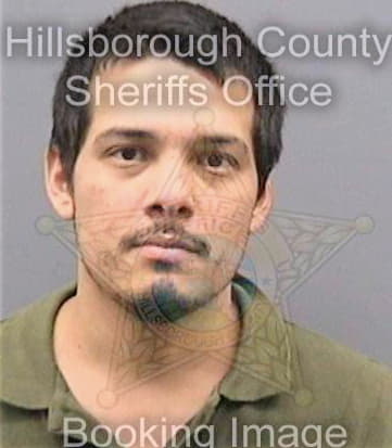 Navarro Jose - Hillsborough County, FL 