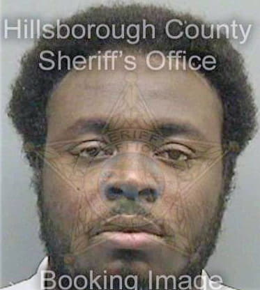 Johnson Virgil - Hillsborough County, FL 