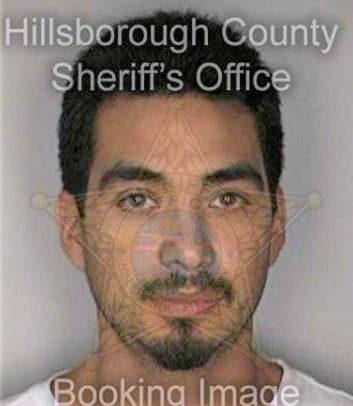 Gonzalez Sergio - Hillsborough County, FL 