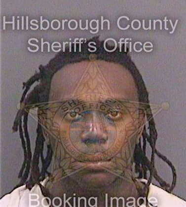 Nelson Dashawn - Hillsborough County, FL 