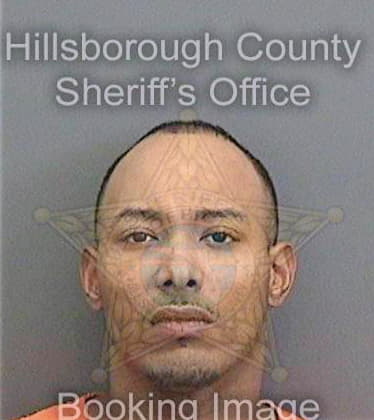 Enriquechambers Lazarrick - Hillsborough County, FL 