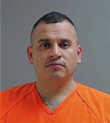 Hernandez David - Hidalgo County, TX 