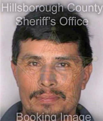 Rios Manuel - Hillsborough County, FL 