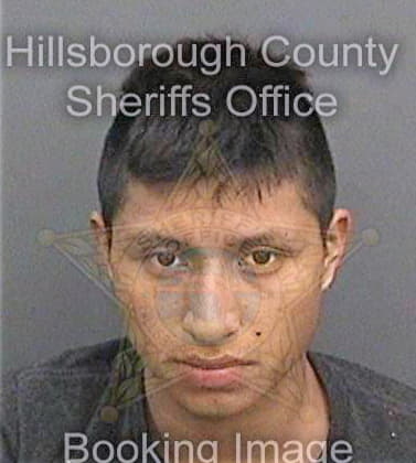 Delacruzlopez Eduardo - Hillsborough County, FL 