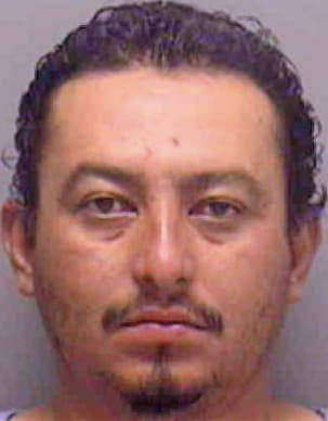 Monterroso Luis - Lee County, FL 