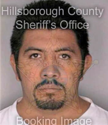 Carbajal Pedro - Hillsborough County, FL 