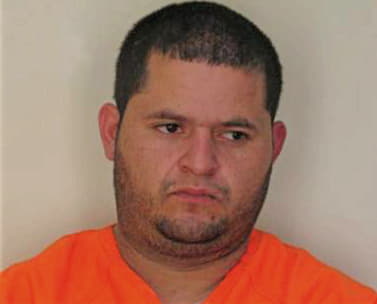 Meza David - Hillsborough County, FL 