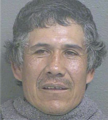 Carmona-Perez Javier - Wyandotte County, KS 