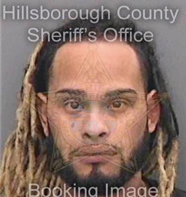 Torres Jose - Hillsborough County, FL 