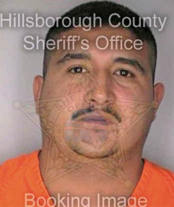 Gonzalez Lorenzo - Hillsborough County, FL 