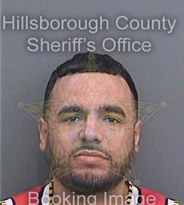 Ortega Roberto - Hillsborough County, FL 