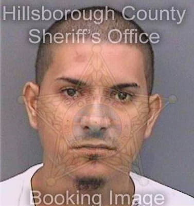 Santiagoandino Jeffrey - Hillsborough County, FL 