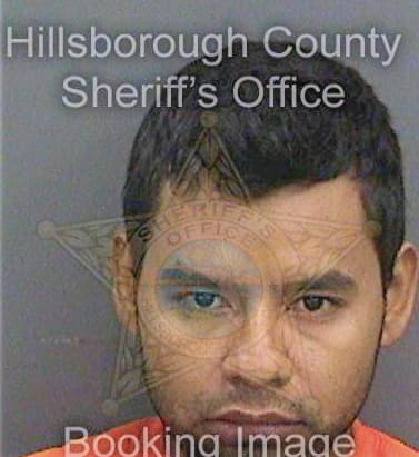 Mendezgonzalez Pedro - Hillsborough County, FL 