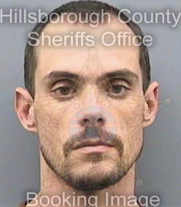 Brochu David - Hillsborough County, FL 