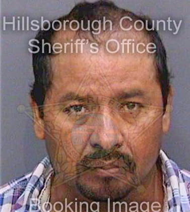 Resendiz Jose - Hillsborough County, FL 