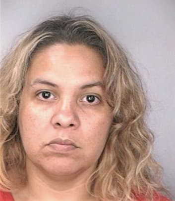 Borges Emelvia - Hillsborough County, FL 