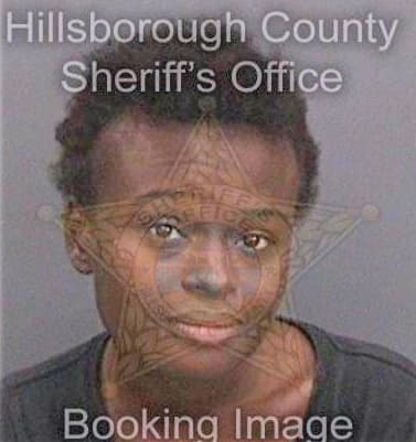 Favors Sheria - Hillsborough County, FL 