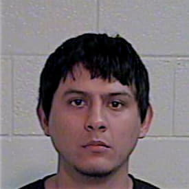 Hernandez Robert - Hidalgo County, TX 