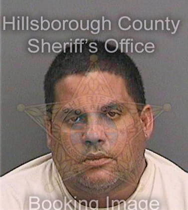 Ramireztorres Fernando - Hillsborough County, FL 