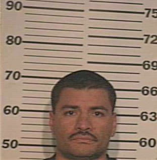 Garcia Daniel - Hidalgo County, TX 