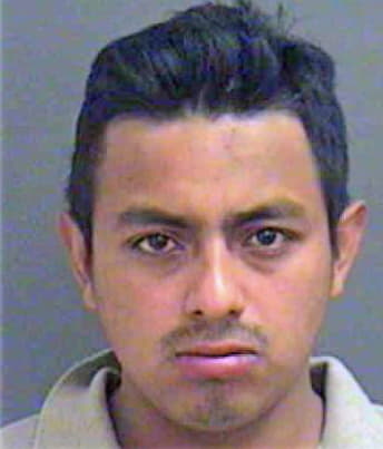 Mejia Elvin - Mecklenburg County, NC 