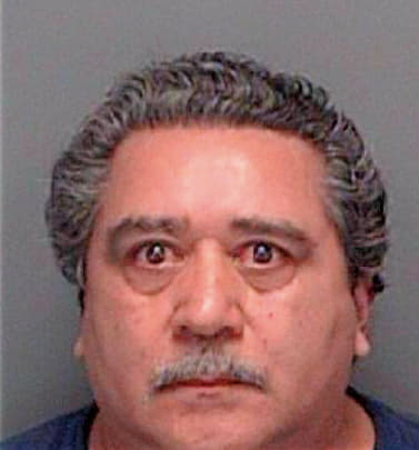 Garcia Eliecer - Pinellas County, FL 