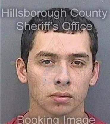 Galvan Eric - Hillsborough County, FL 