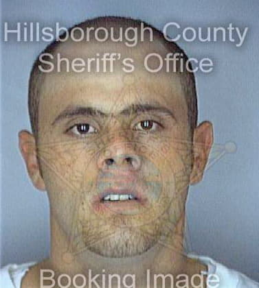 Vasquez Carlos - Hillsborough County, FL 