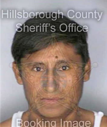 Perez Romario - Hillsborough County, FL 