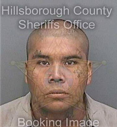 Raynoso Junior - Hillsborough County, FL 