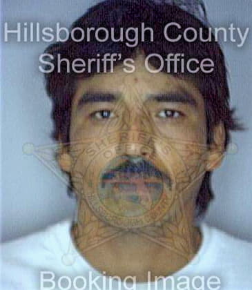 Degollado Marcelino - Hillsborough County, FL 