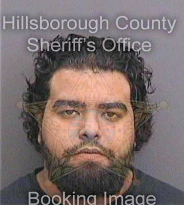 Gonzalez Jose - Hillsborough County, FL 