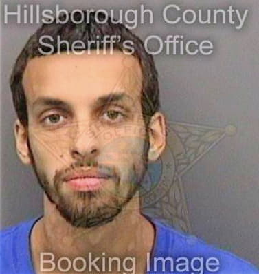 Gonzalez Michael - Hillsborough County, FL 