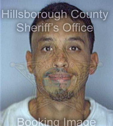 Maldonado Carmelo - Hillsborough County, FL 