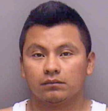 Hernandez Miguel - Lee County, FL 