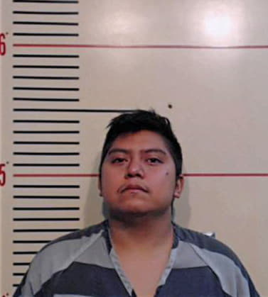 Hernandez Jovani - Parker County, TX 