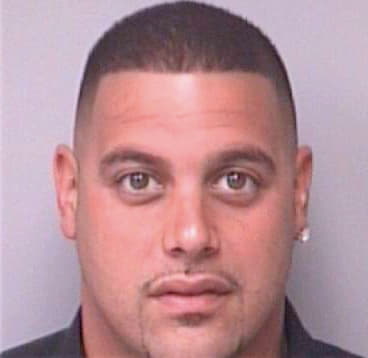 Hernandez Herman - Pinellas County, FL 