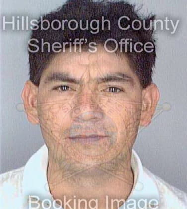 Bonilla Carlos - Hillsborough County, FL 