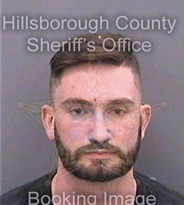 Hamilton David - Hillsborough County, FL 