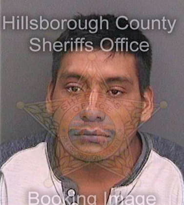 Perezgomez Mario - Hillsborough County, FL 