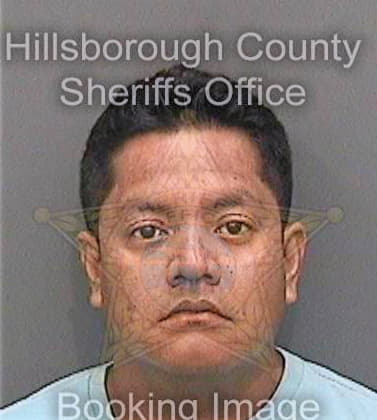 Dominguezgarcia Rafael - Hillsborough County, FL 