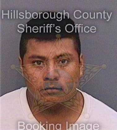 Gomez Juan - Hillsborough County, FL 