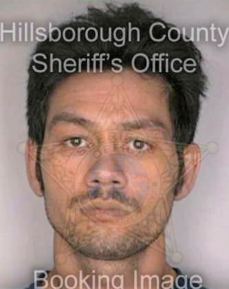 Nguyen Hoan - Hillsborough County, FL 