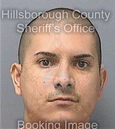 Santiagoandino Jeffrey - Hillsborough County, FL 