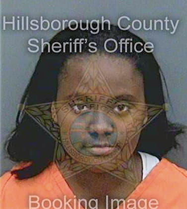 Beza Simone - Hillsborough County, FL 