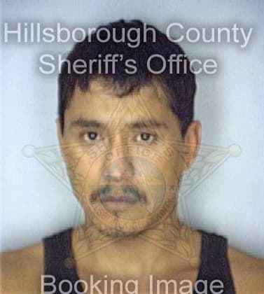 Lopez Jesus - Hillsborough County, FL 