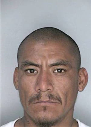 Mendoza Ruben - Hillsborough County, FL 