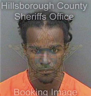 Simmons Denzel - Hillsborough County, FL 