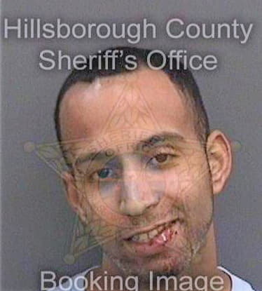 Taveras Steven - Hillsborough County, FL 